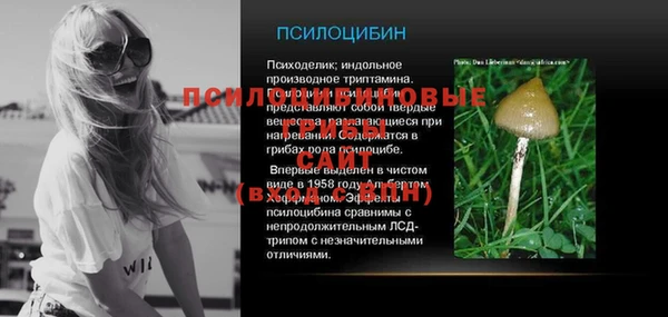амф Протвино
