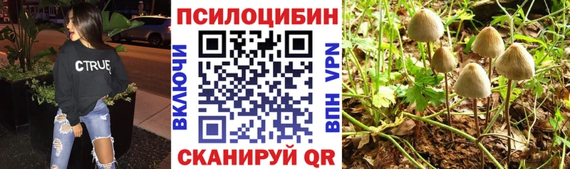 МЕГА ONION Алексин Галлюциногенные грибы мухоморы купить закладку